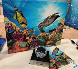 HP-Recycled-Canvas-Award-2-300x266