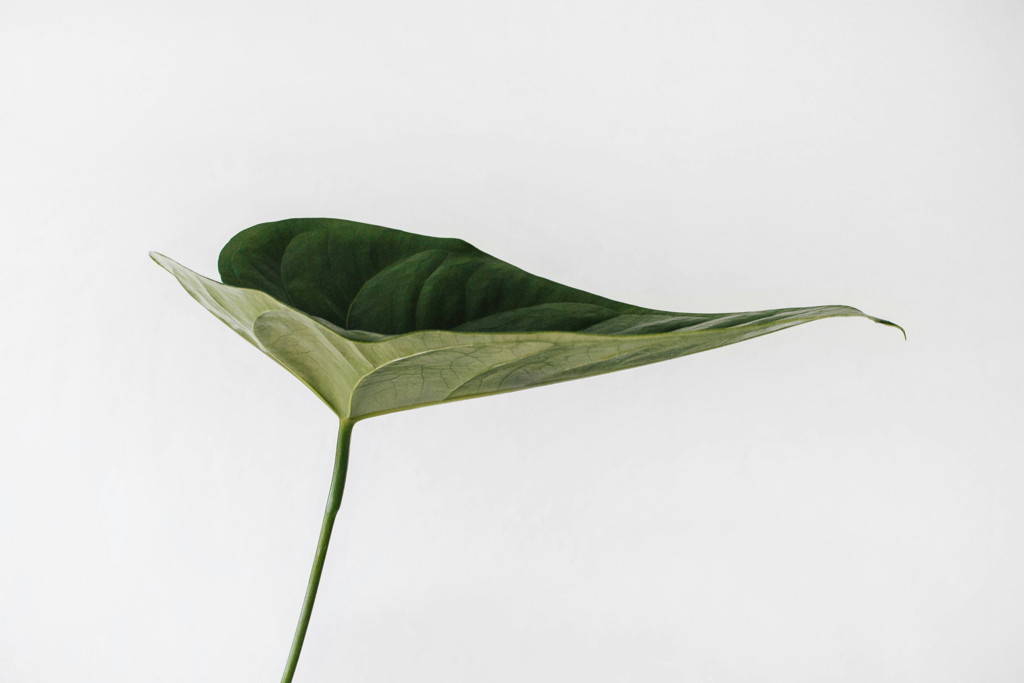 sarah-dorweiler-9Z1KRIfpBTM-unsplash sarah-dorweiler-9Z1KRIfpBTM-unsplash