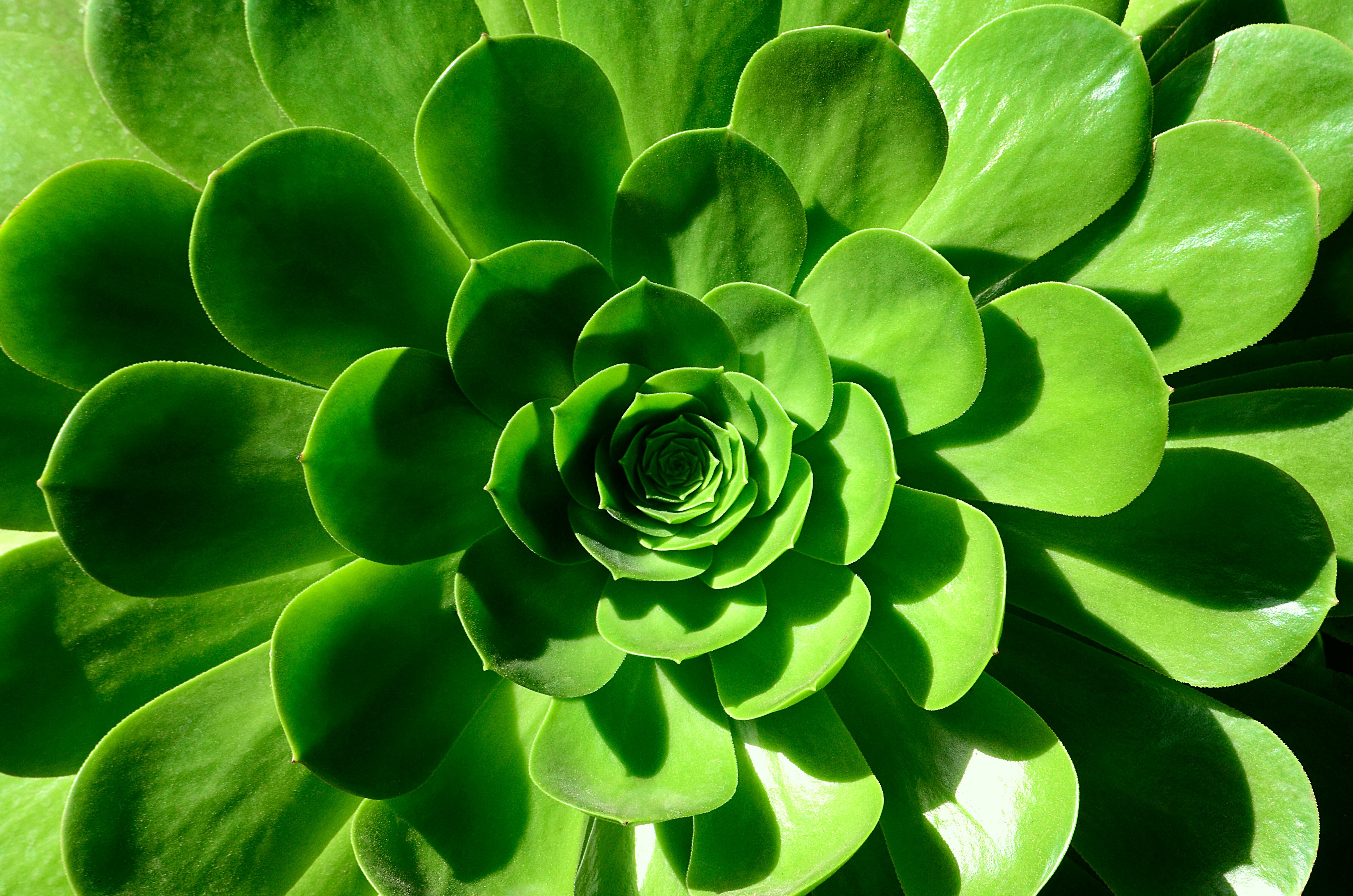 max-bohme-w0f0QOSqxLI-unsplash